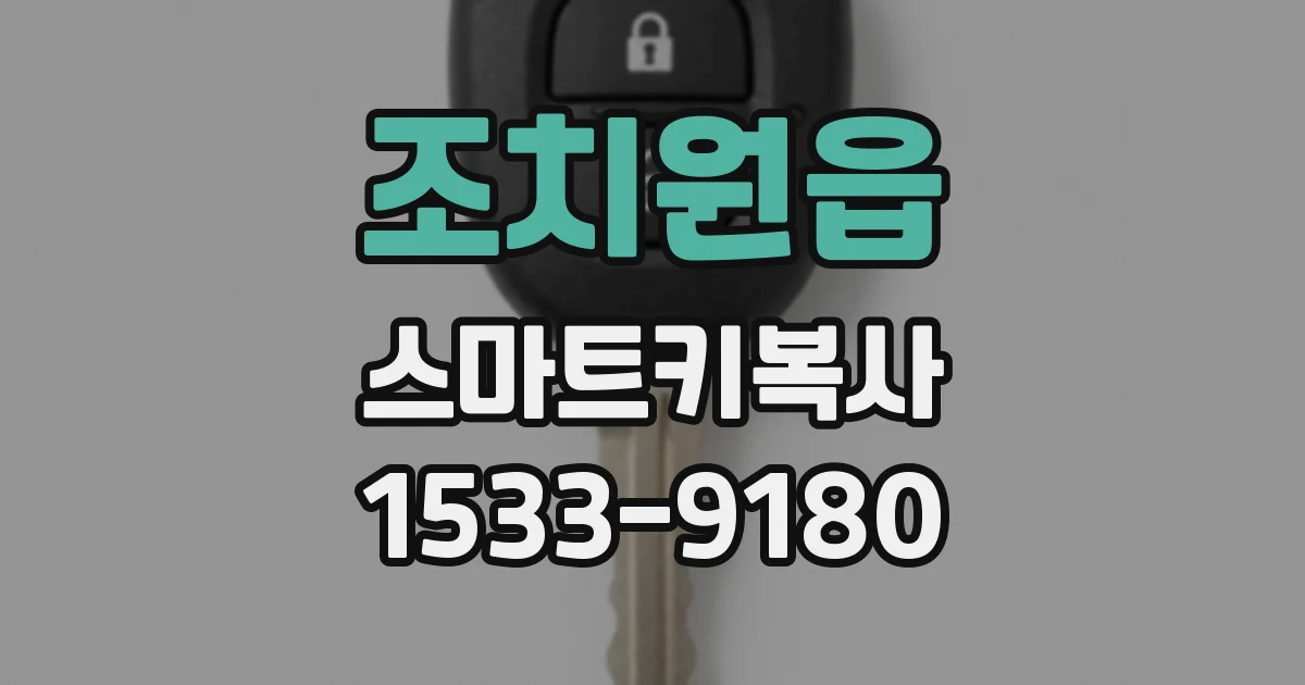 조치원읍 스마트키복사