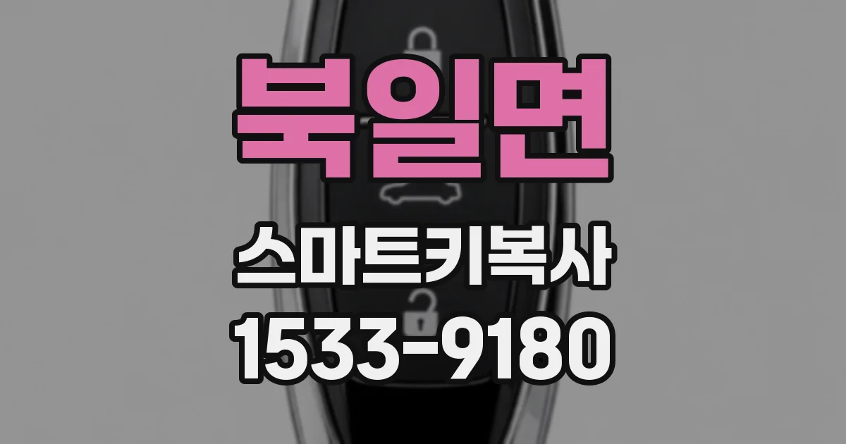 북일면 스마트키복사
