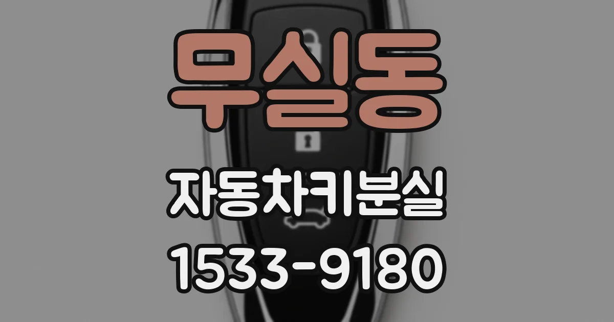 무실동 자동차키분실