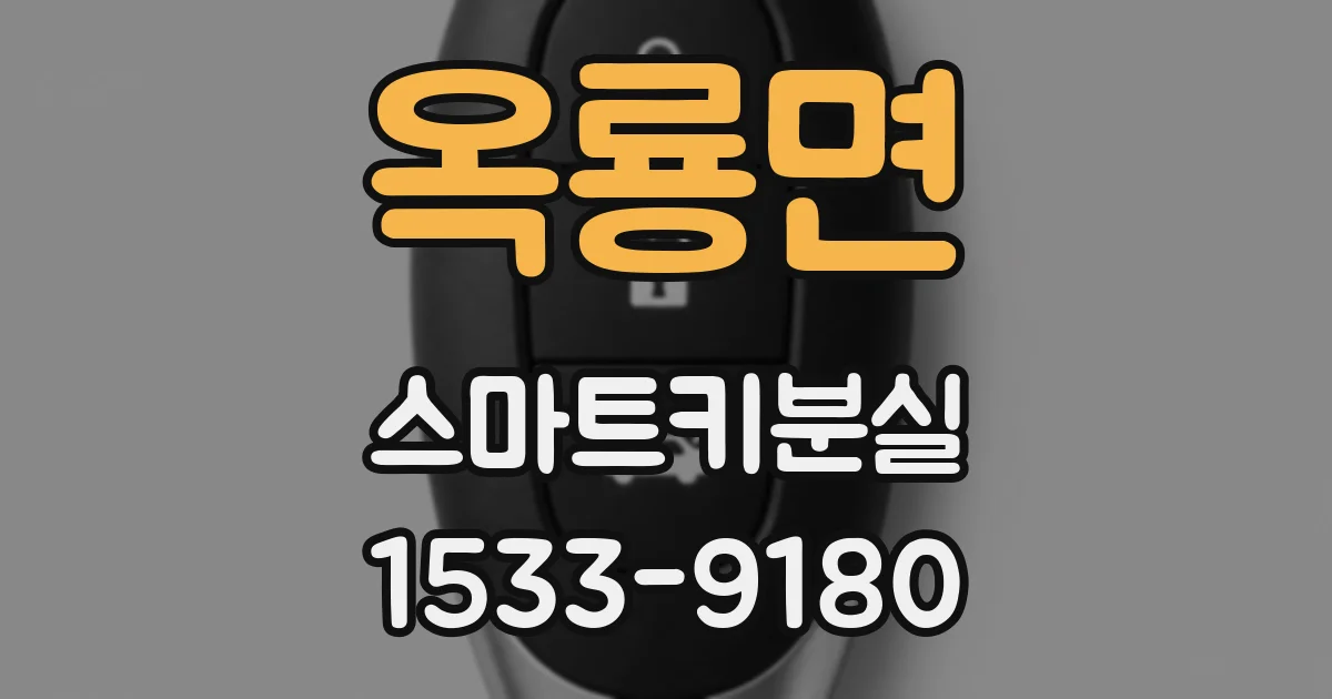 옥룡면 스마트키분실