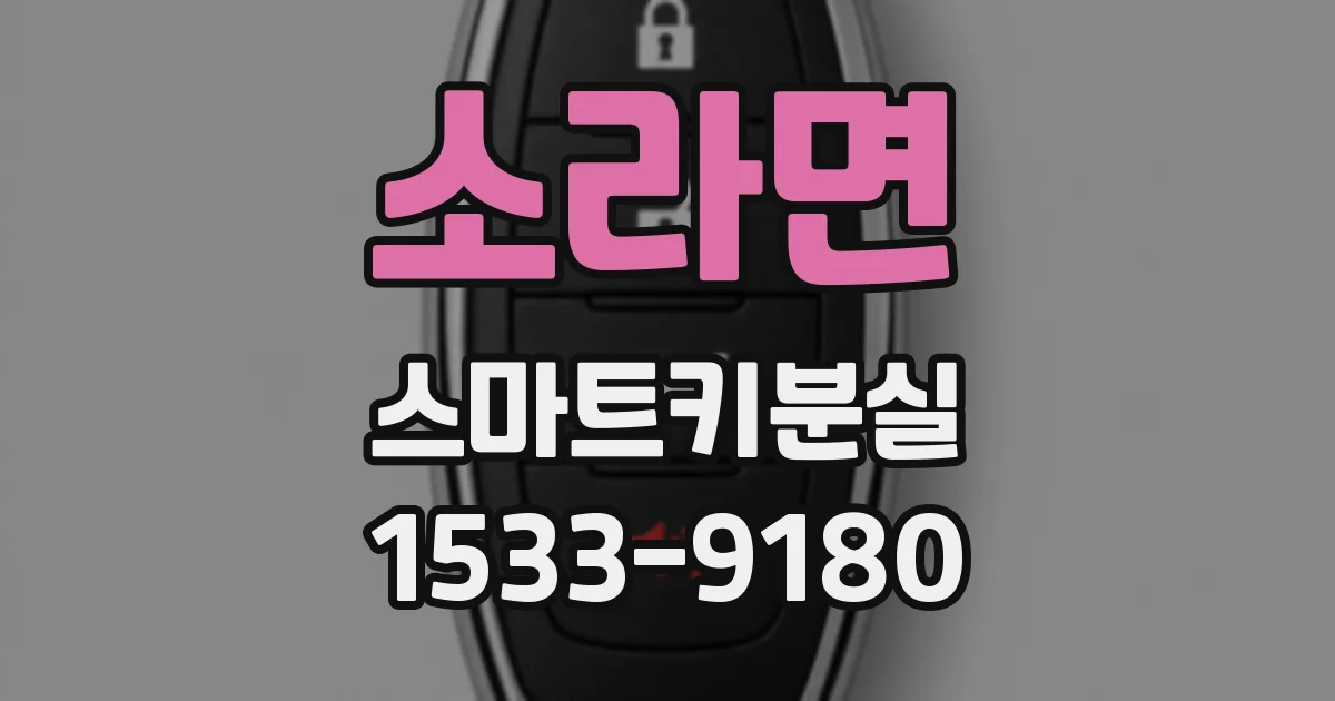 소라면 스마트키분실