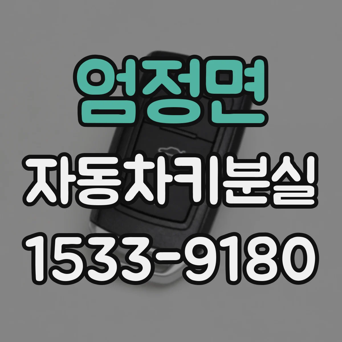 엄정면 자동차키분실