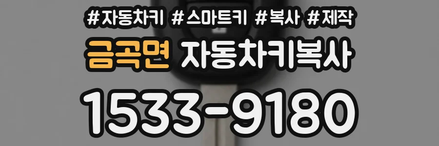 금곡면 자동차키복사