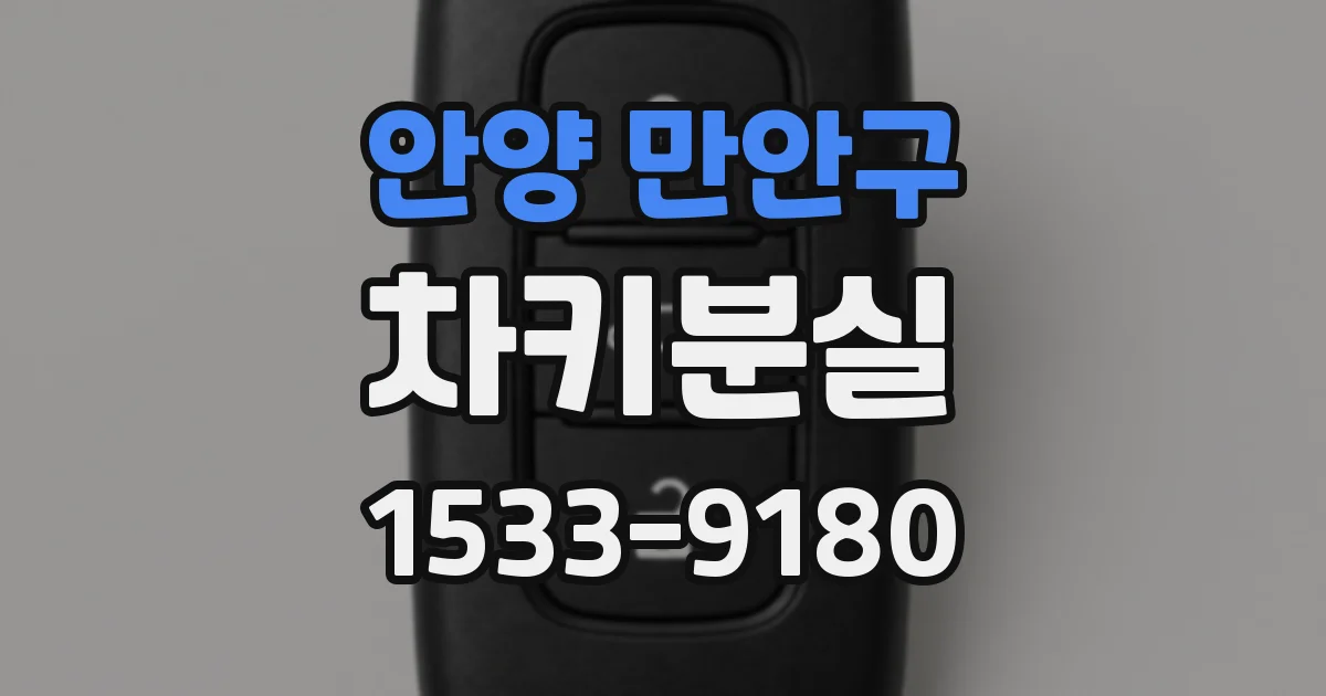 안양 만안구 차키분실