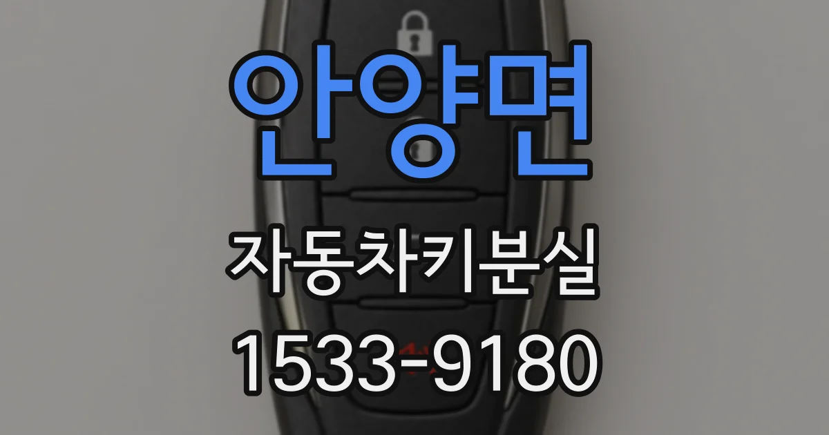 안양면 자동차키분실