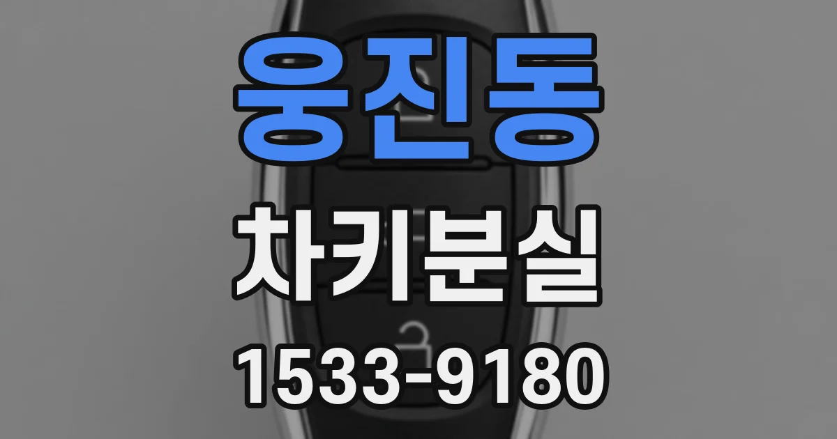 웅진동 차키분실