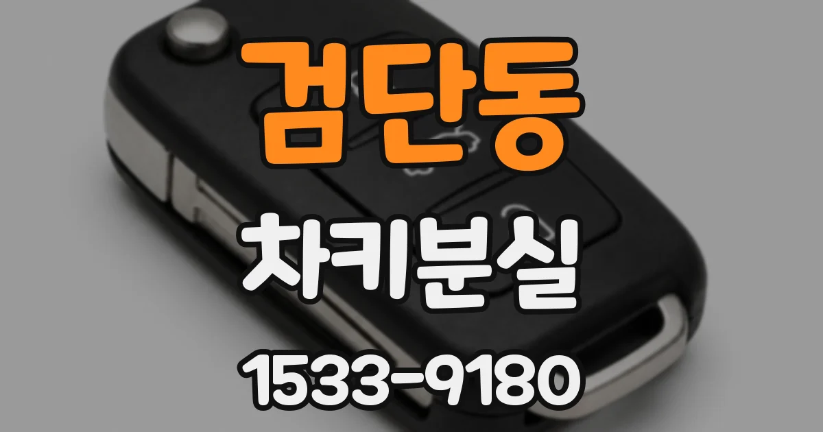 검단동 차키분실