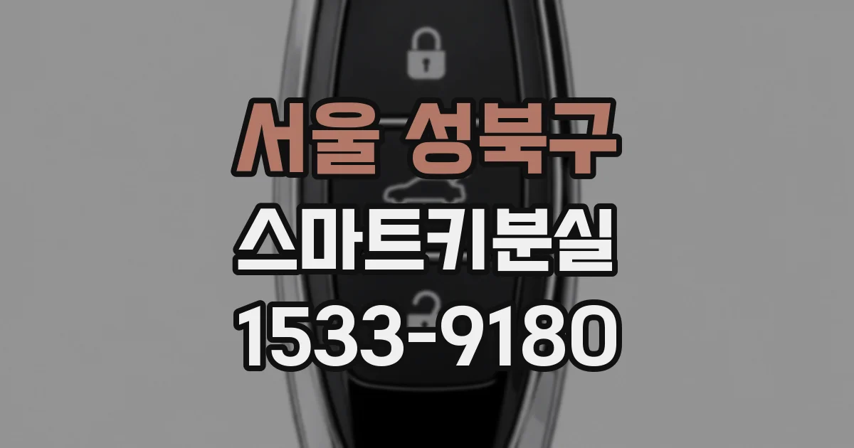 서울 성북구 스마트키분실
