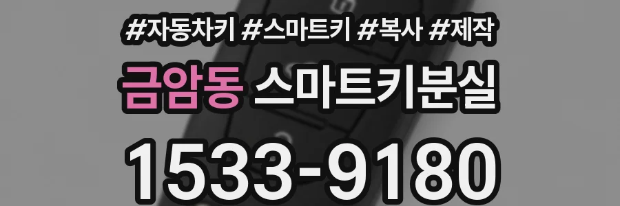 금암동 스마트키분실