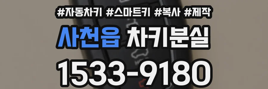 사천읍 차키분실