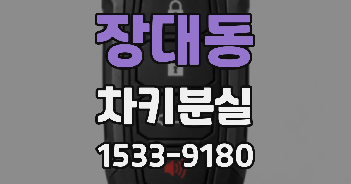 장대동 차키분실