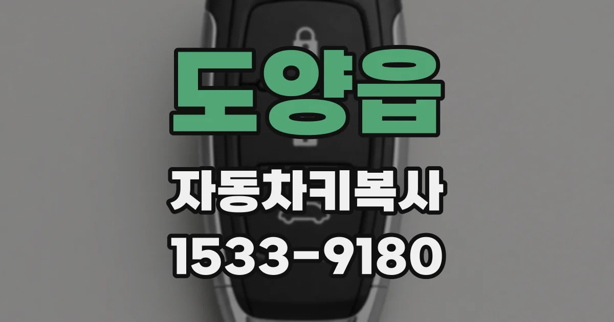 도양읍 자동차키복사