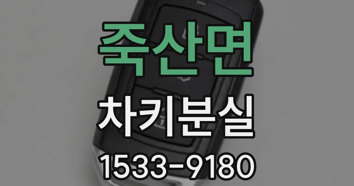 죽산면 차키분실