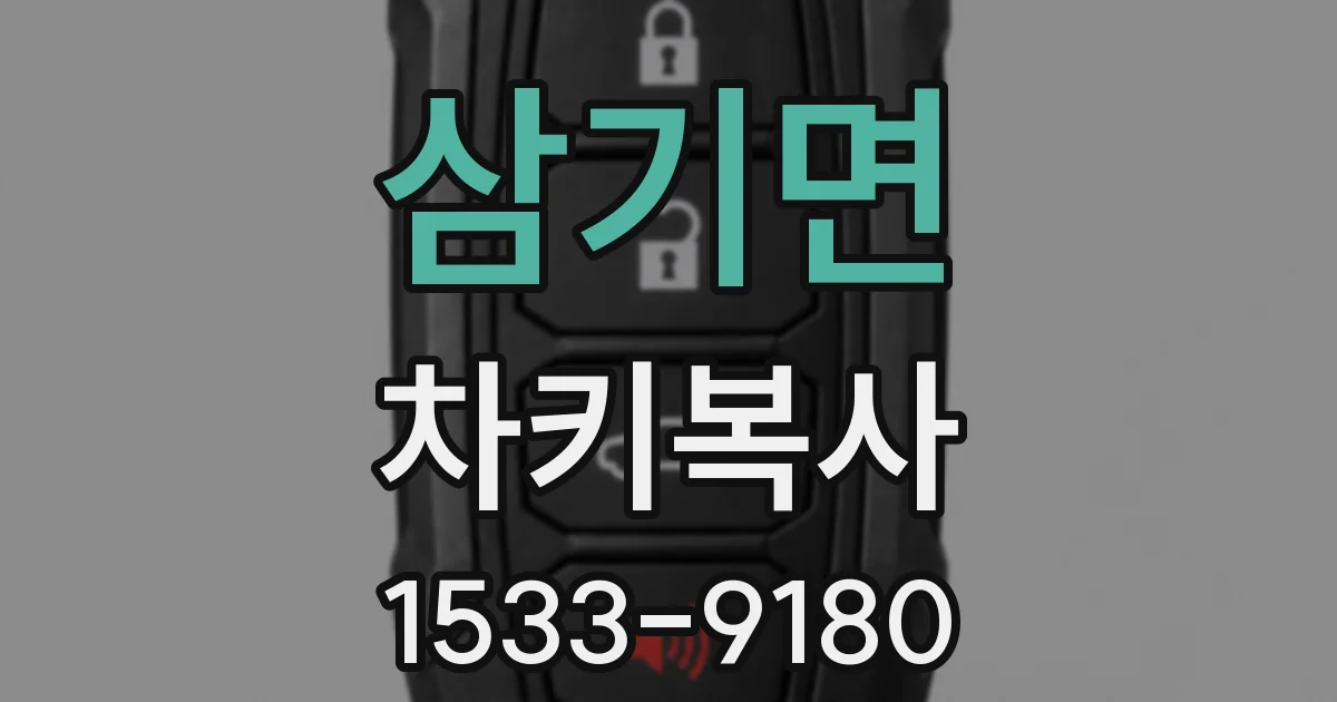 삼기면 차키복사
