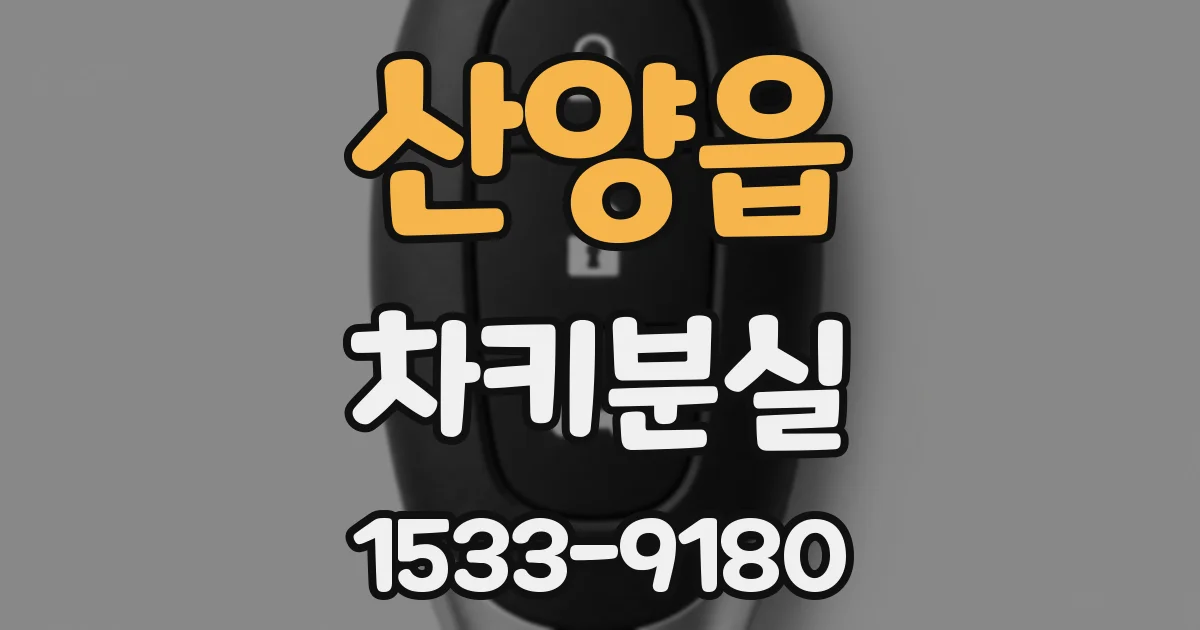 산양읍 차키분실