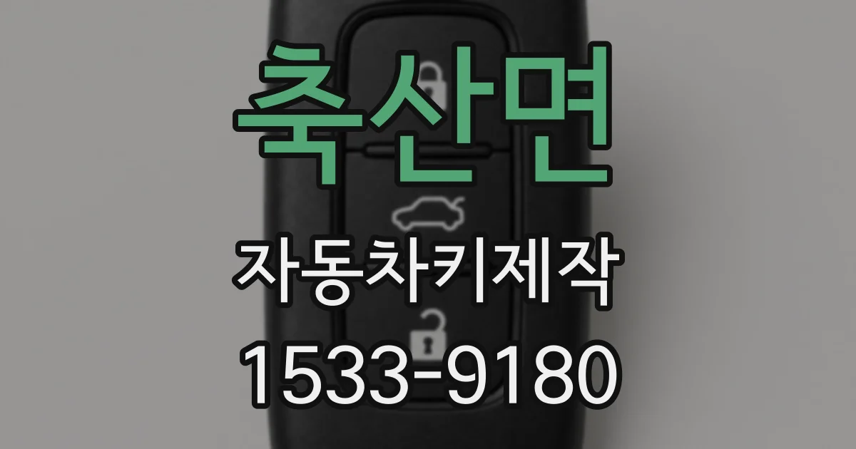 축산면 자동차키제작