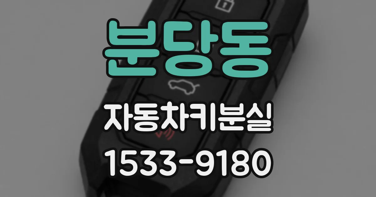 분당동 자동차키분실