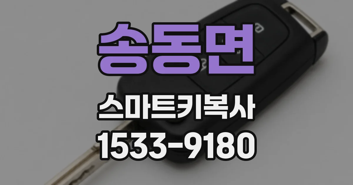 송동면 스마트키복사
