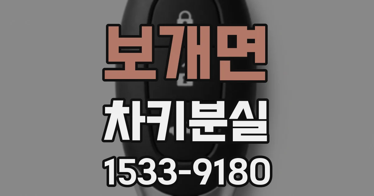 보개면 차키분실