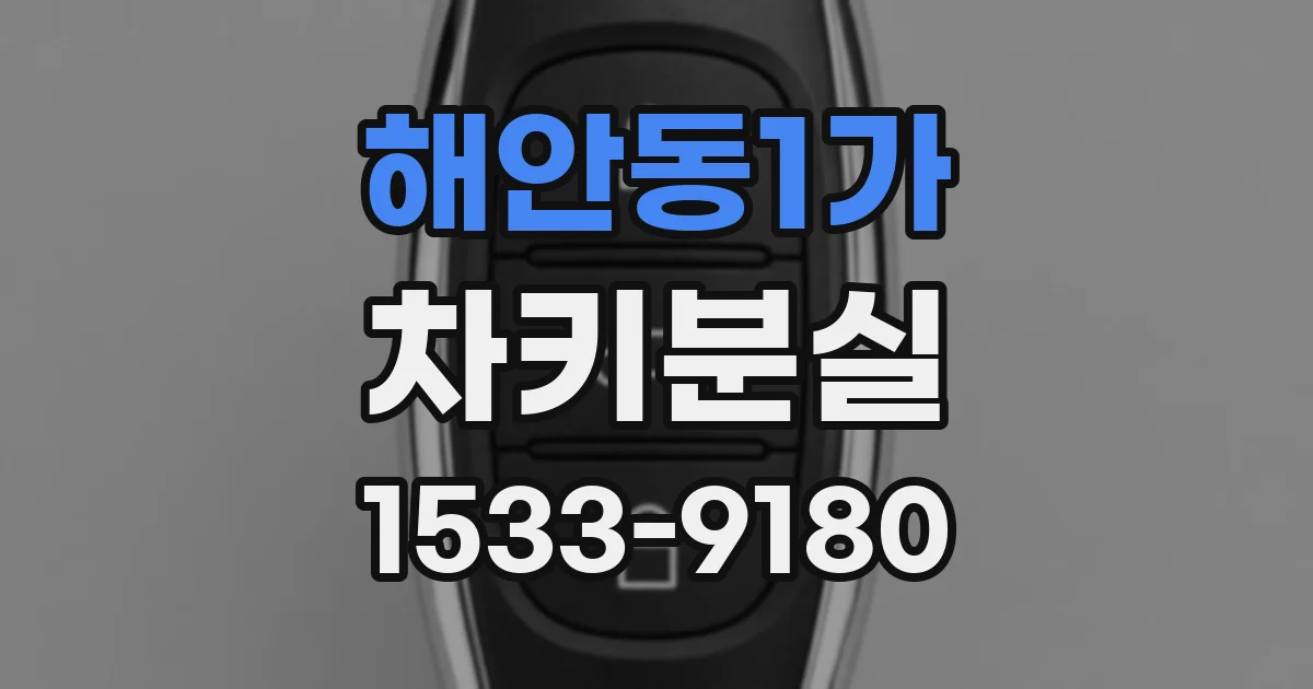 해안동1가 차키분실