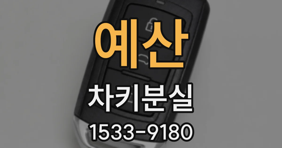 예산 차키분실