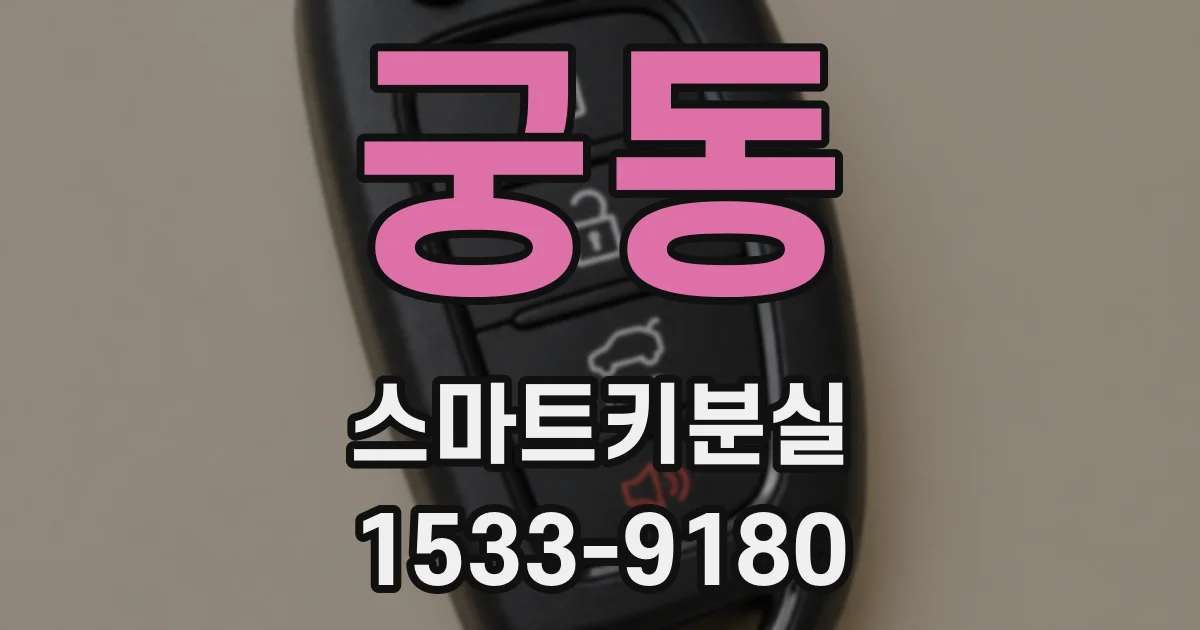 궁동 스마트키분실
