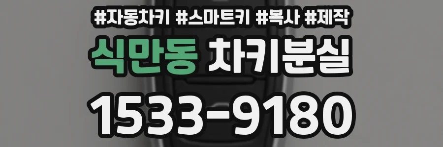 식만동 차키분실