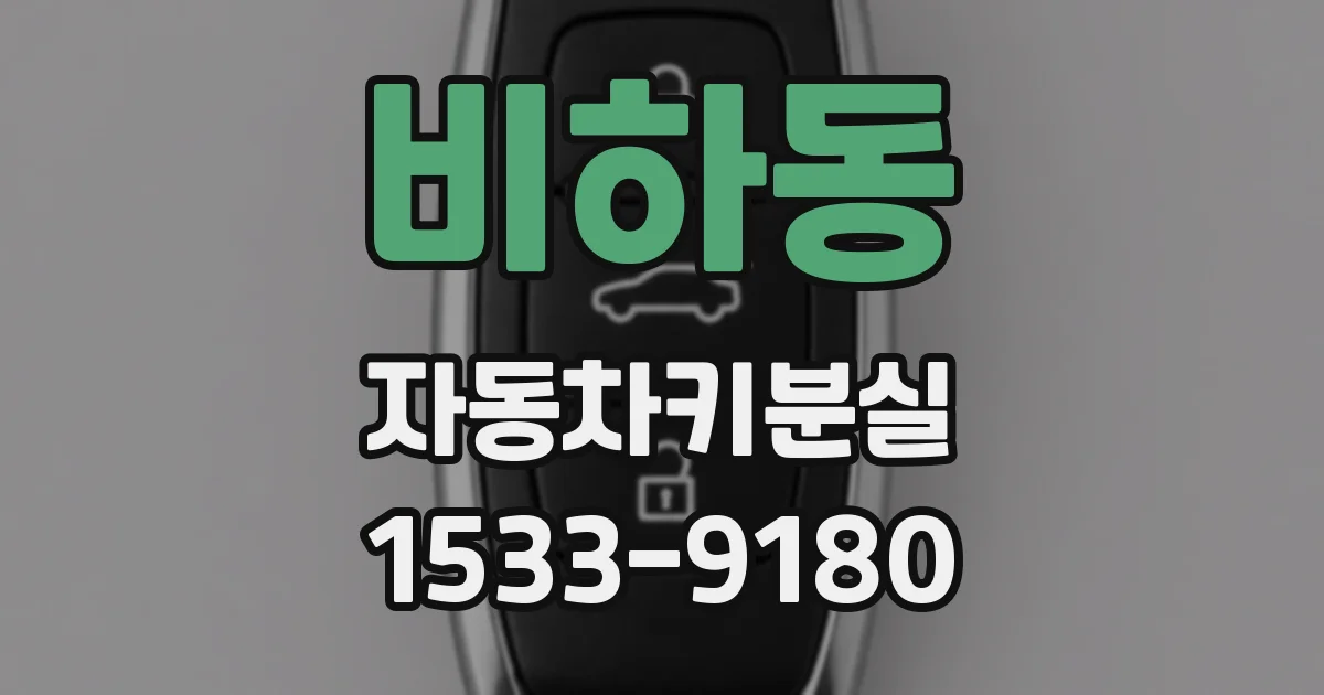 비하동 자동차키분실