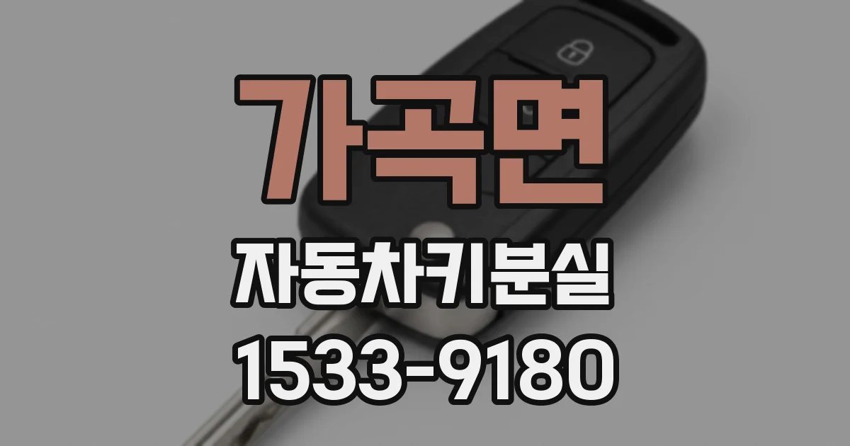 가곡면 자동차키분실