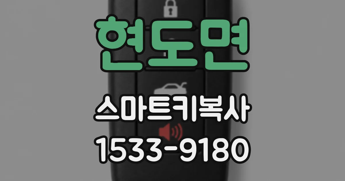 현도면 스마트키복사