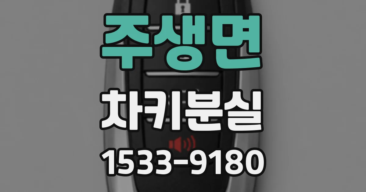 주생면 차키분실