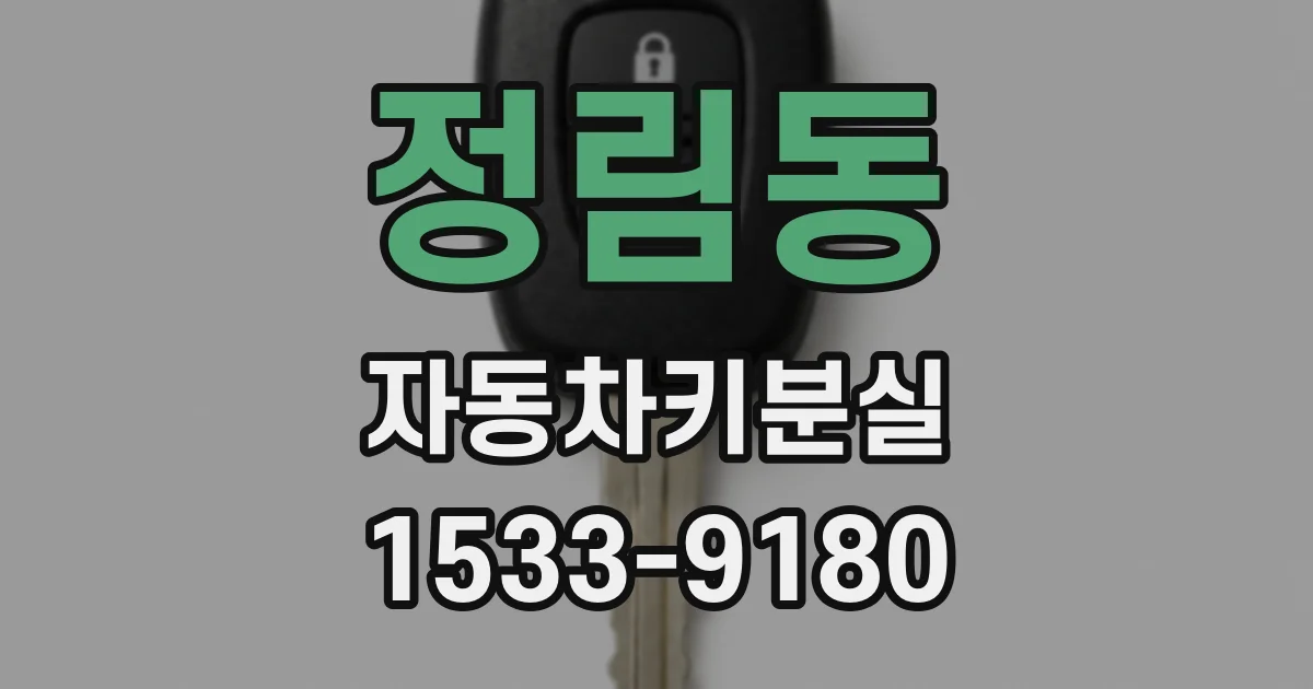 정림동 자동차키분실