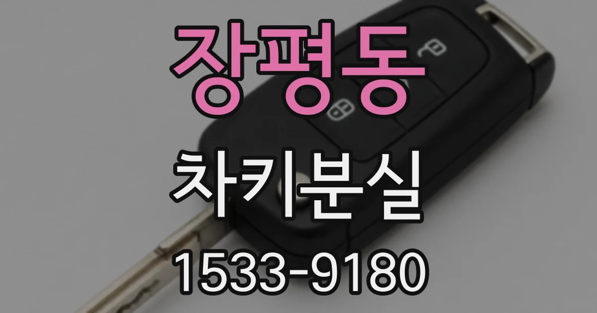 장평동 차키분실