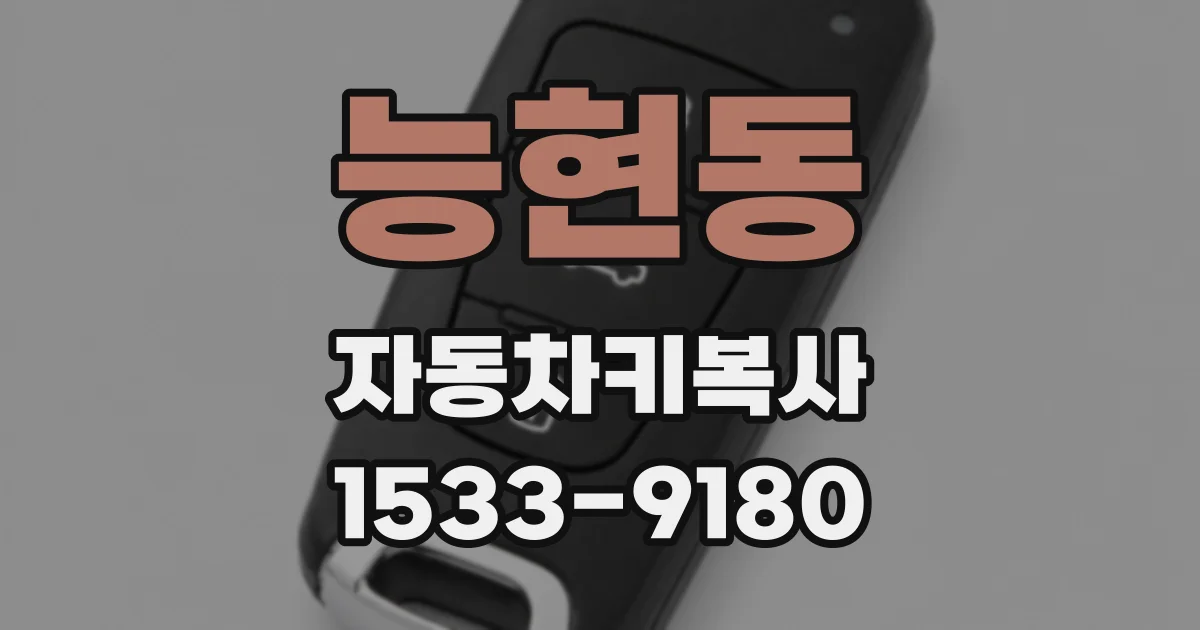 능현동 자동차키복사
