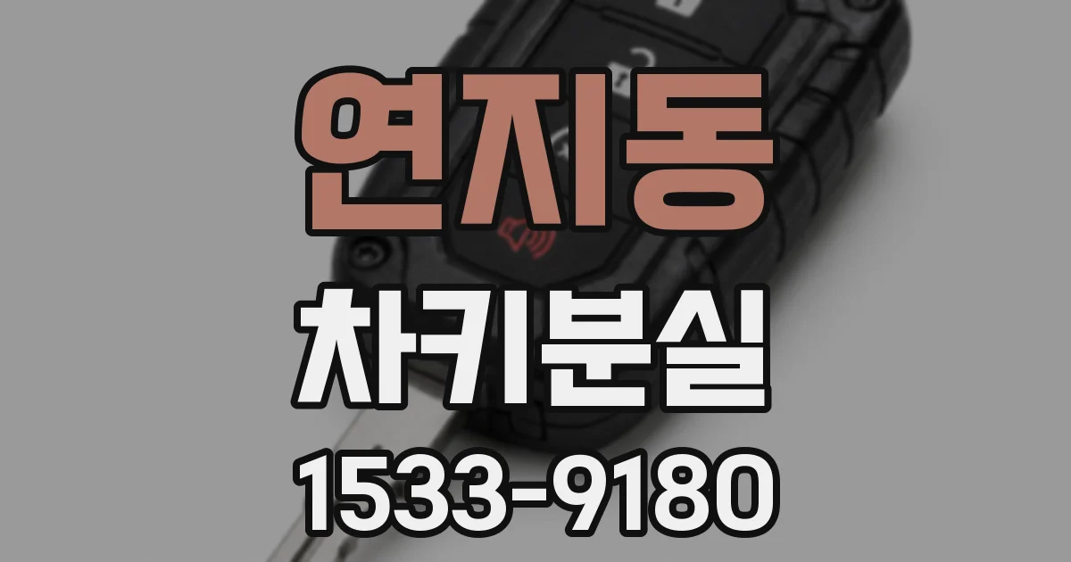 연지동 차키분실