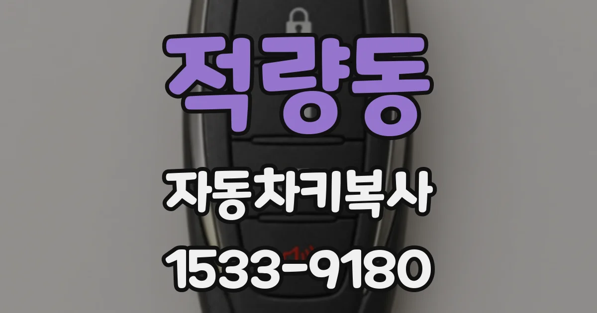 적량동 자동차키복사