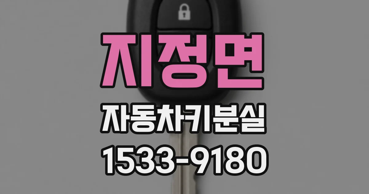 지정면 자동차키분실