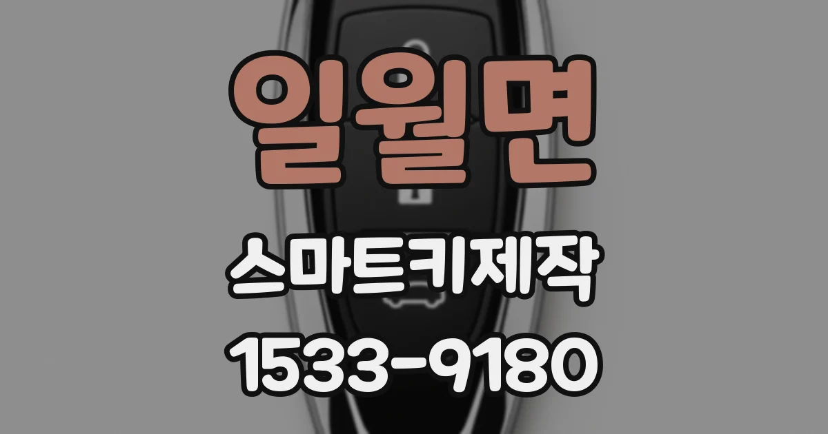 일월면 스마트키제작
