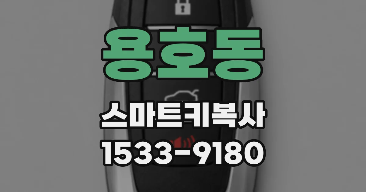 용호동 스마트키복사
