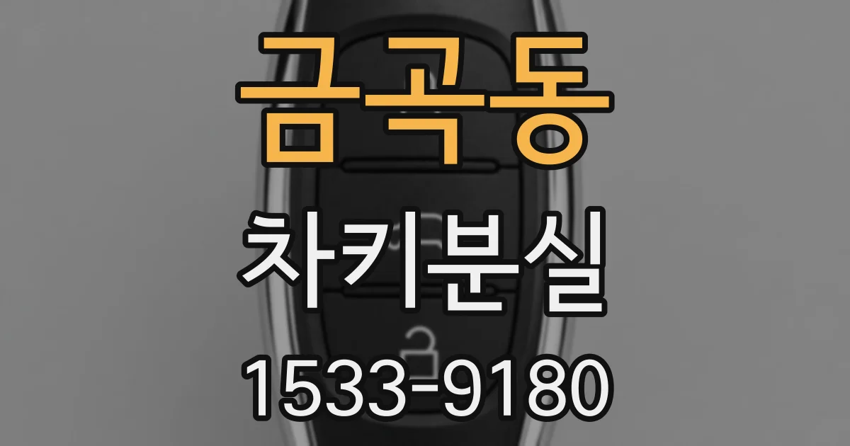 금곡동 차키분실