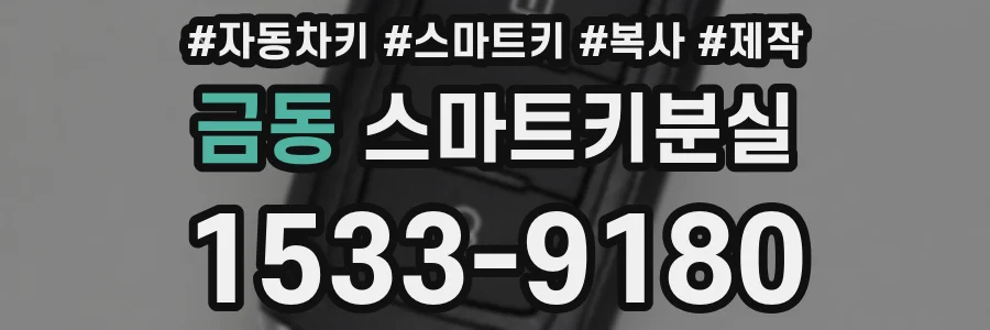 금동 스마트키분실