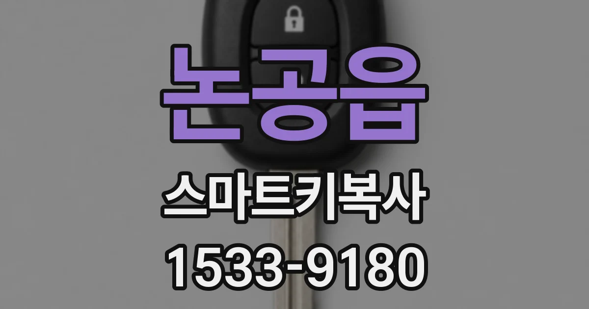 논공읍 스마트키복사