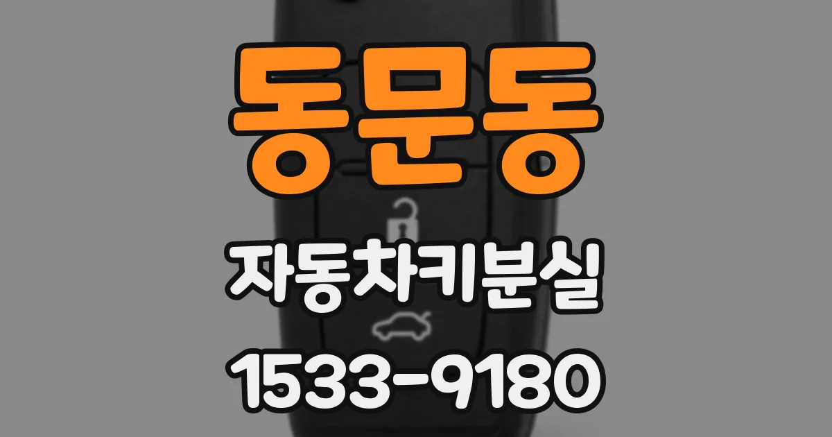 동문동 자동차키분실