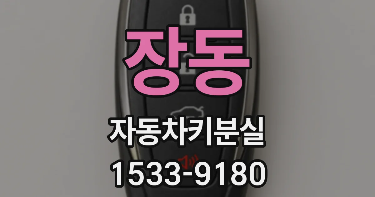 장동 자동차키분실