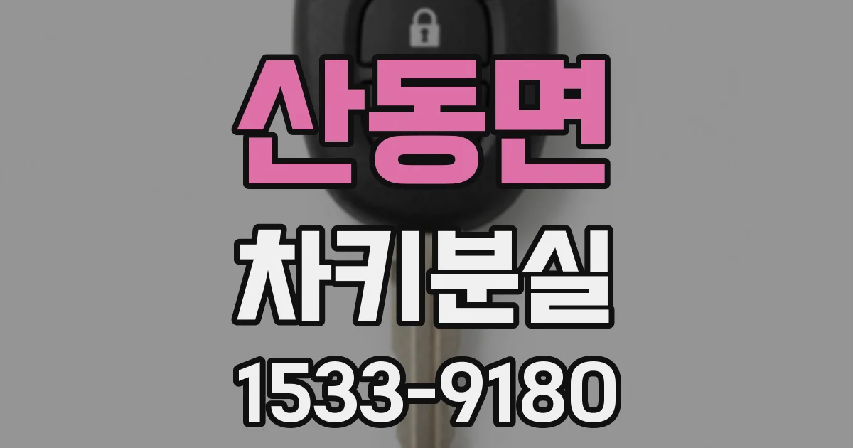 산동면 차키분실