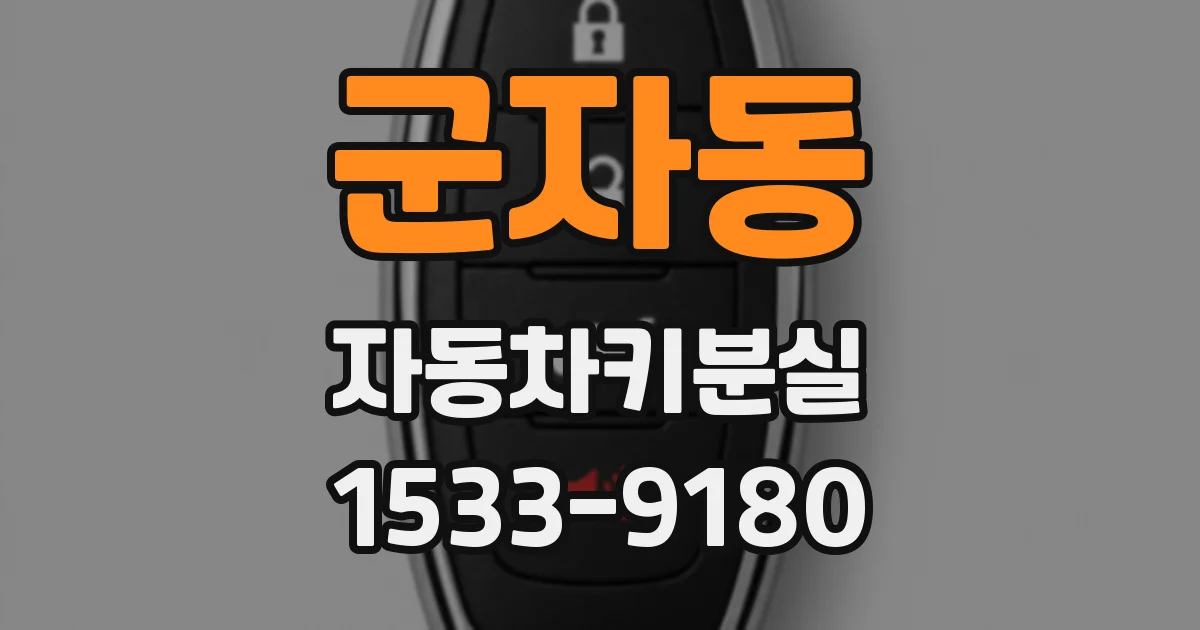 군자동 자동차키분실