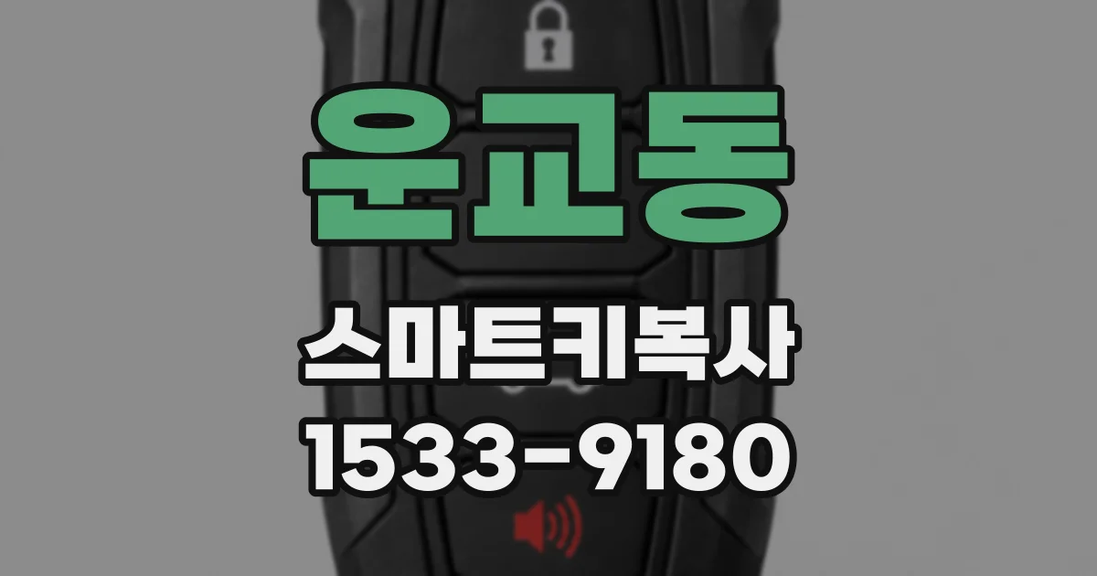 운교동 스마트키복사
