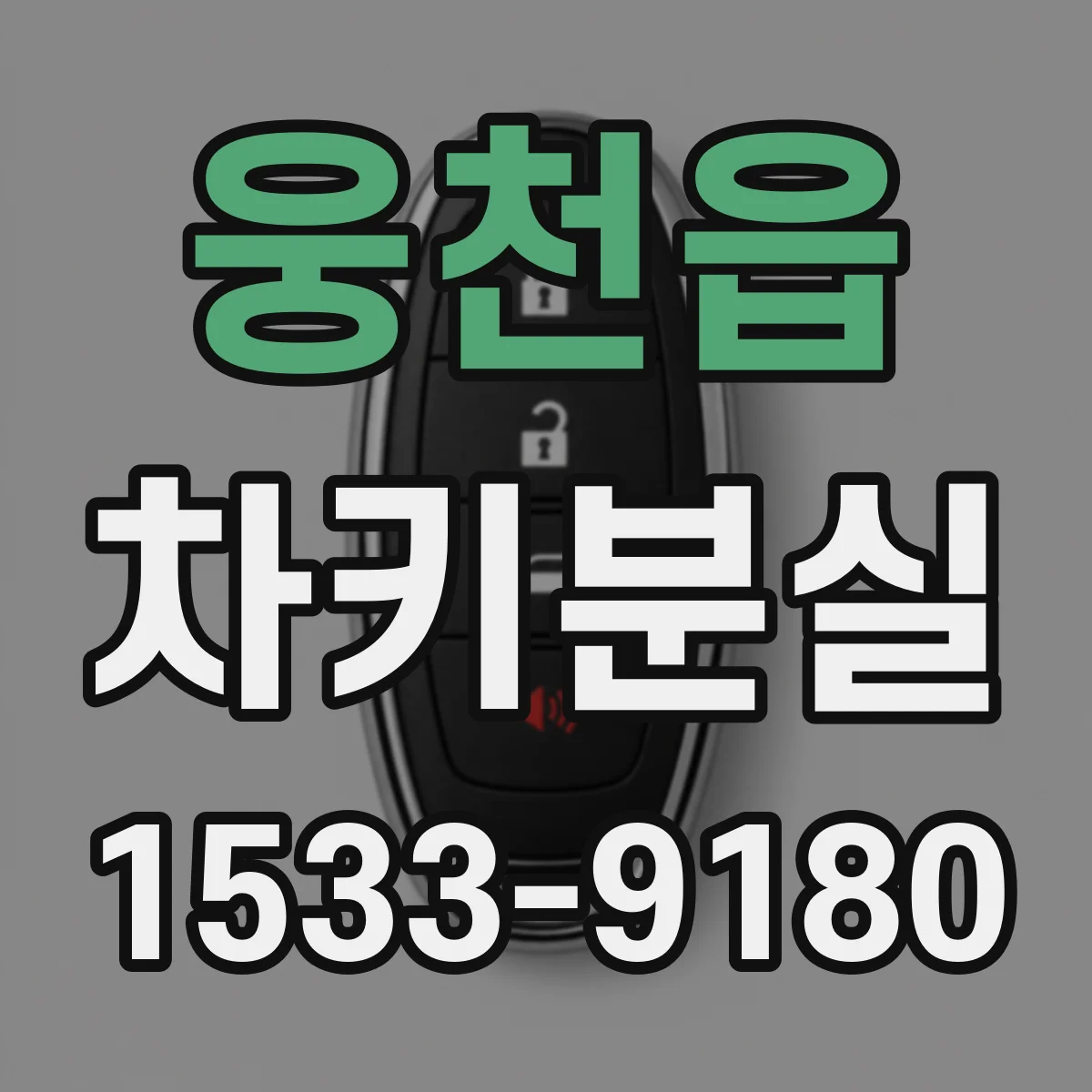 웅천읍 차키분실
