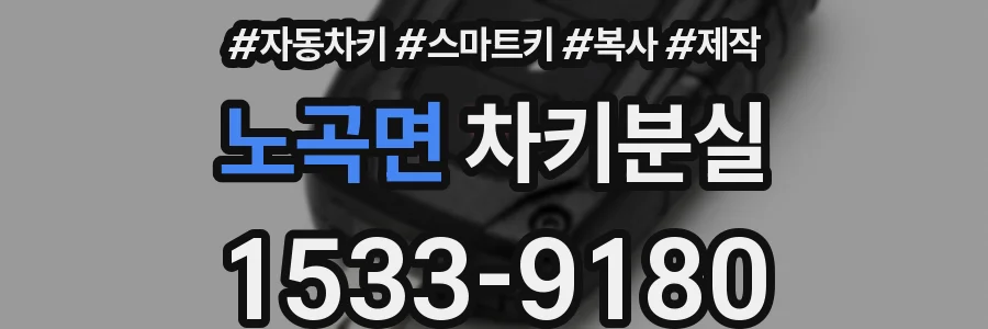 노곡면 차키분실