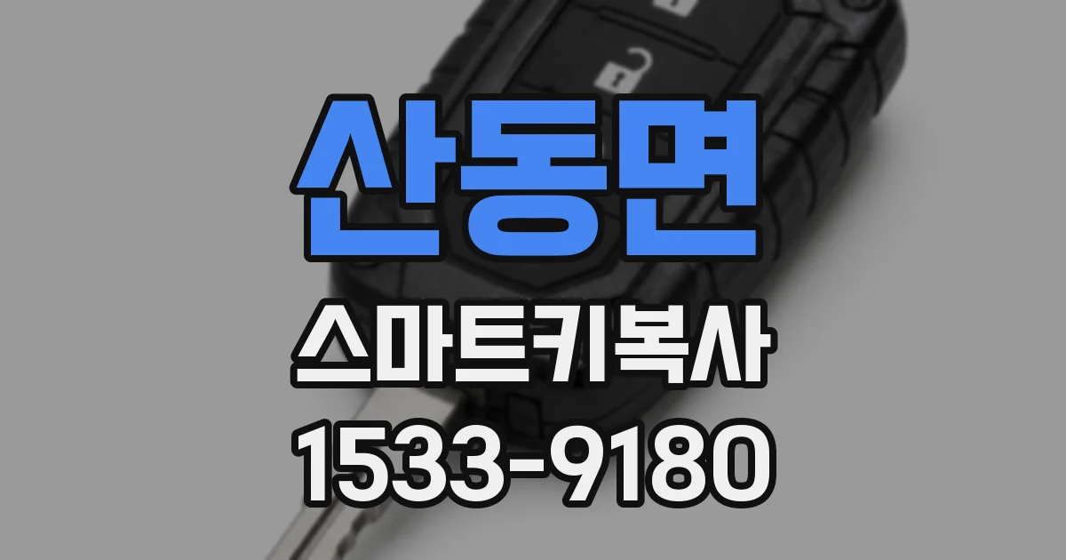산동면 스마트키복사